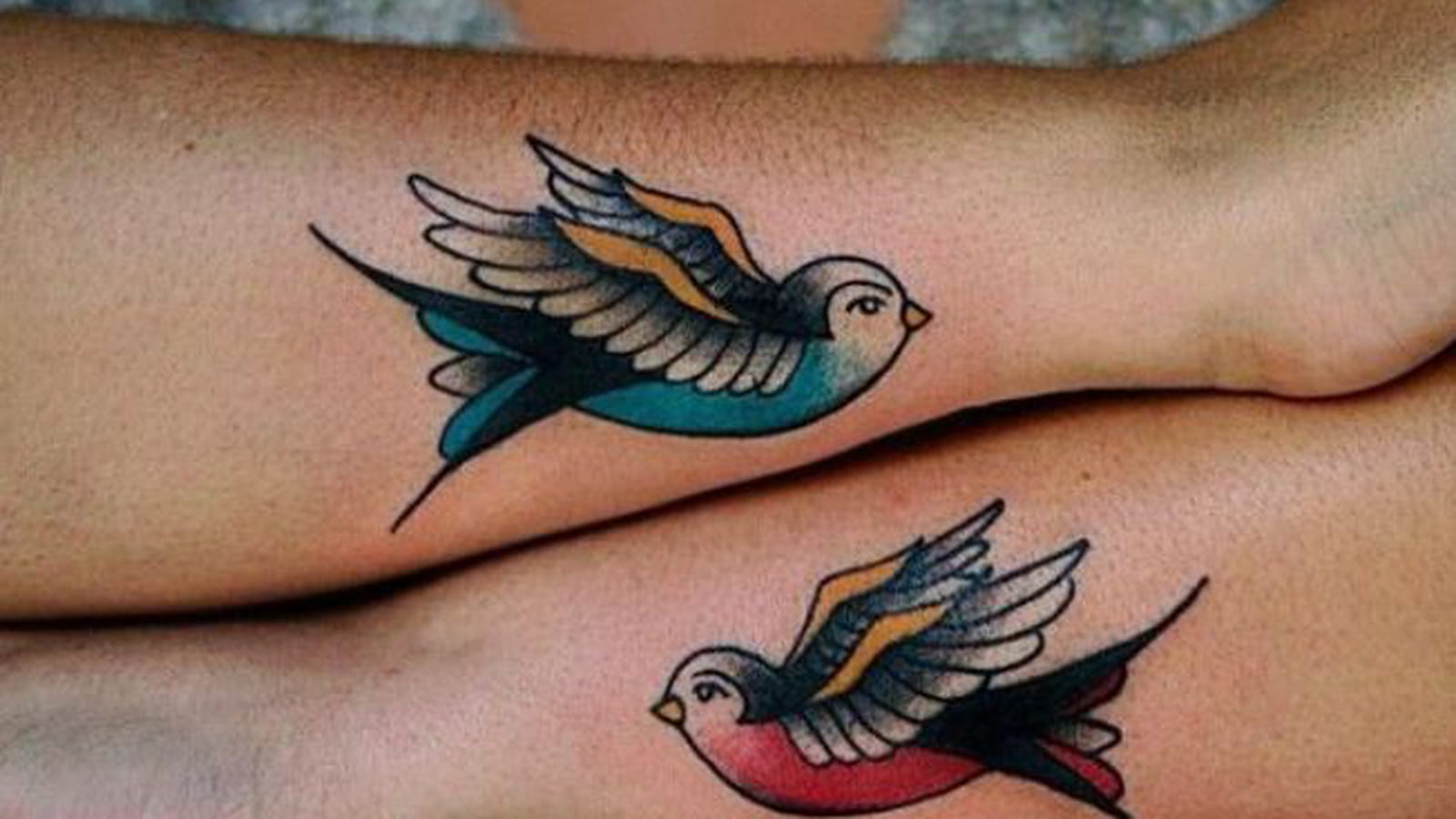 Les hirondelles en couleur