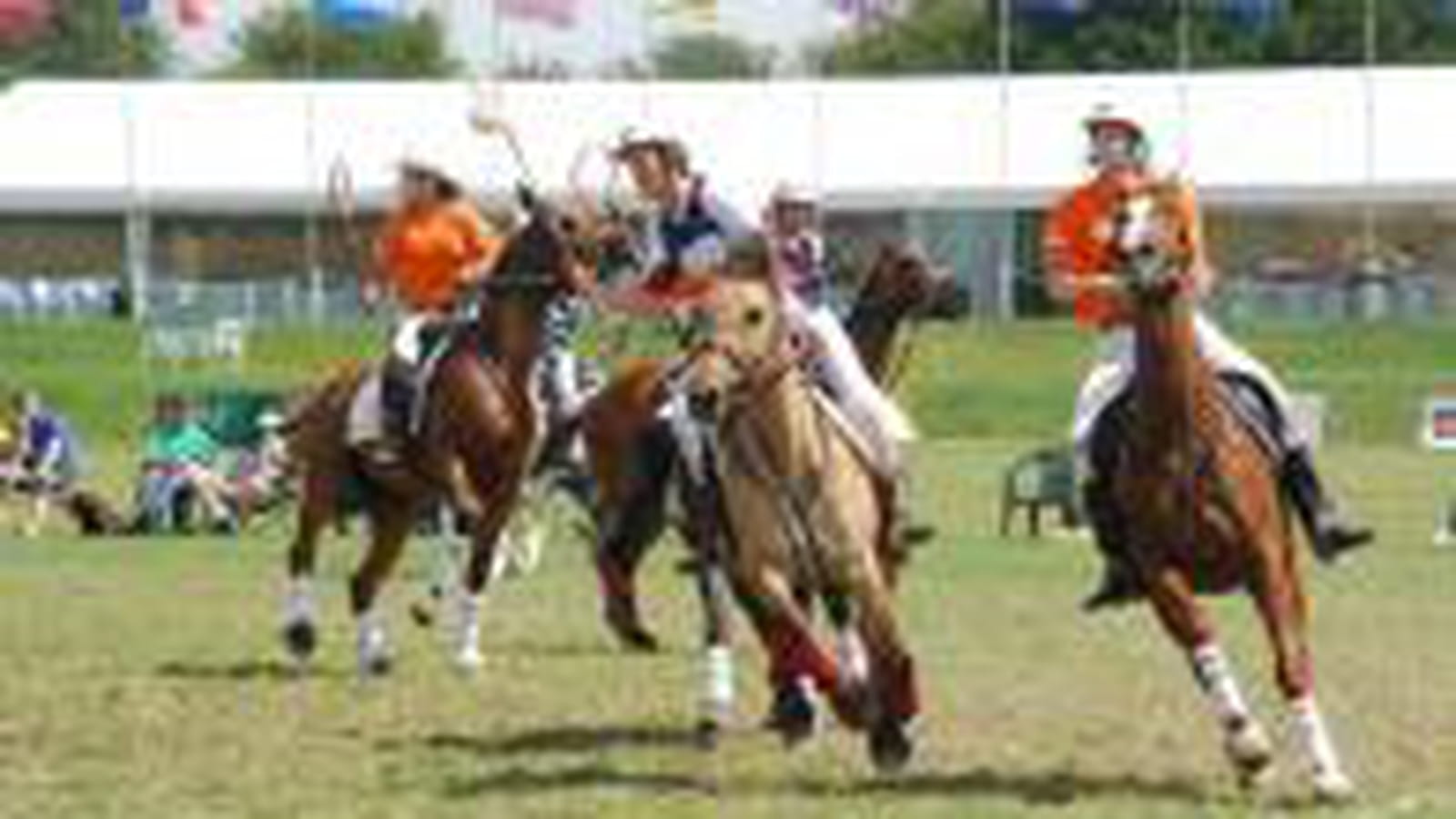 Le polocrosse