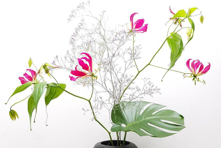 Ikebana : tout savoir sur cet art floral japonais ancestral