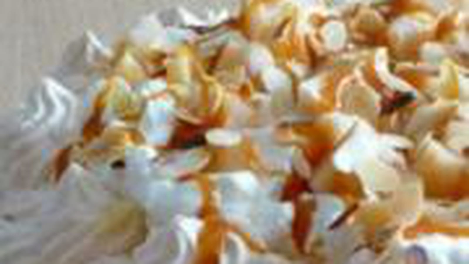 Pavlova poires beurre salé