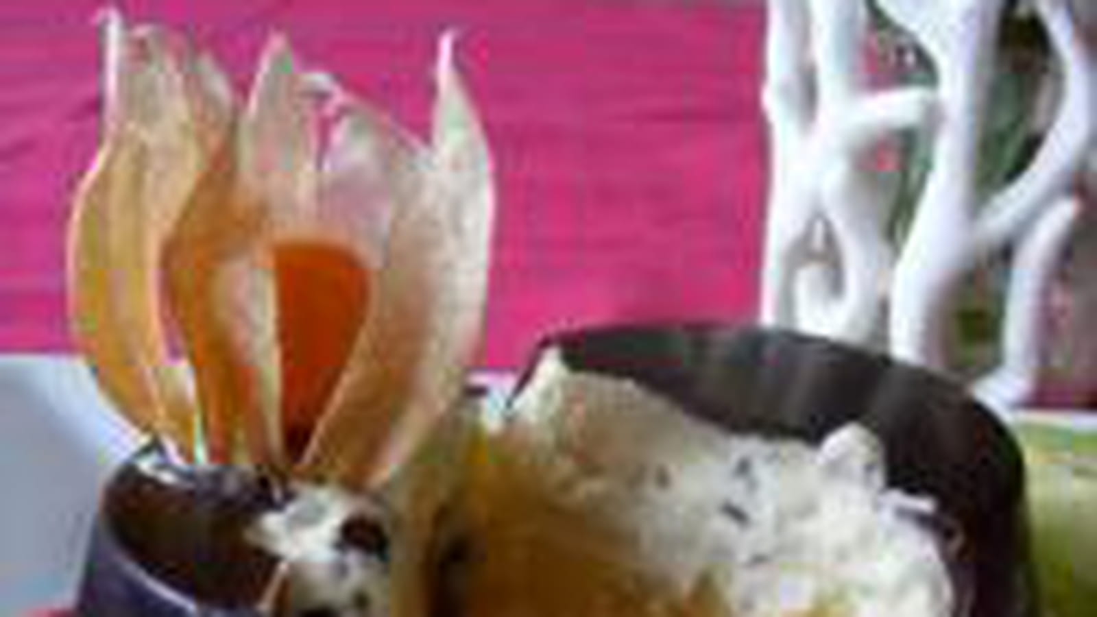 Dôme glacé exotique