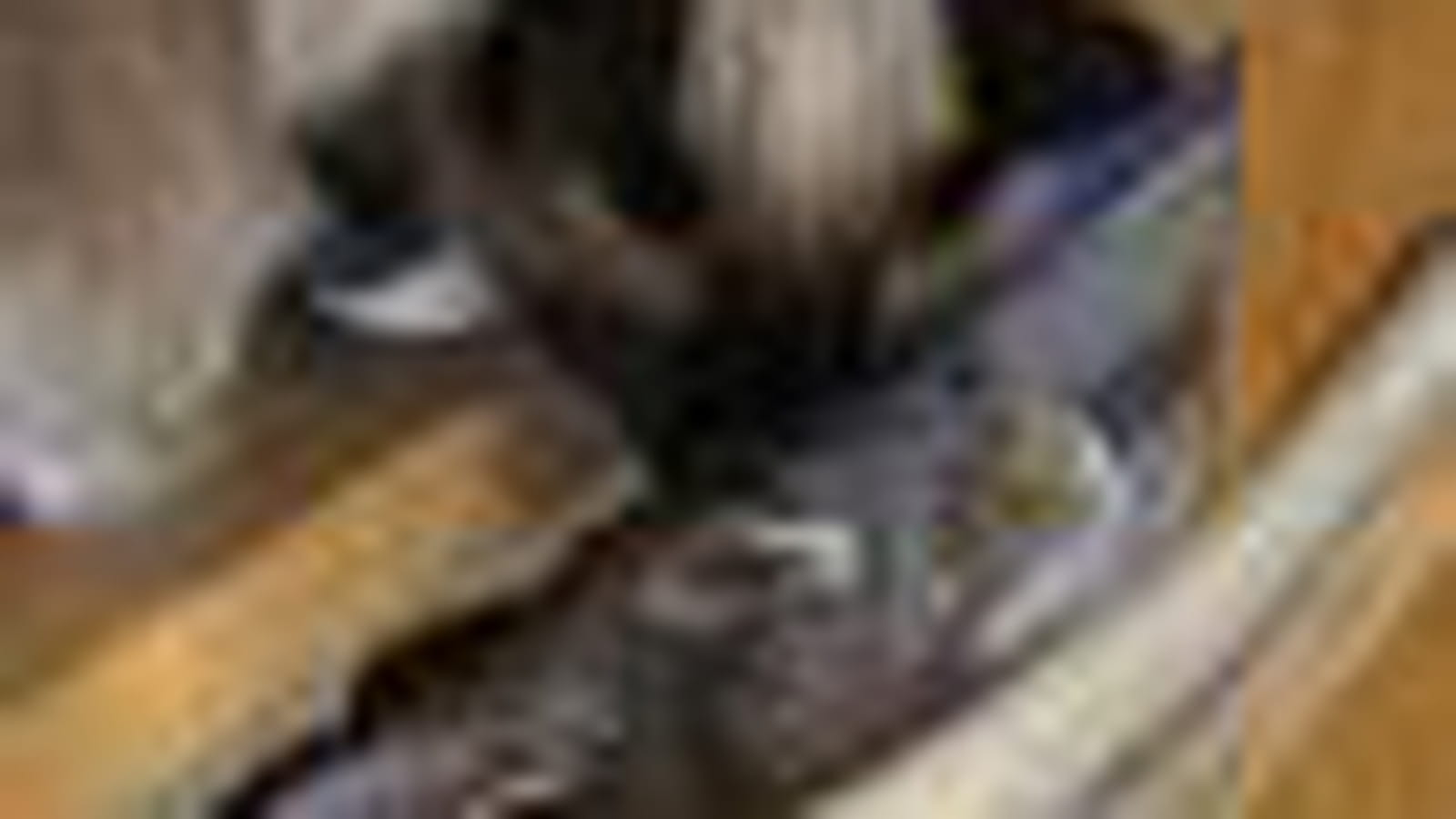 Bisou de chat