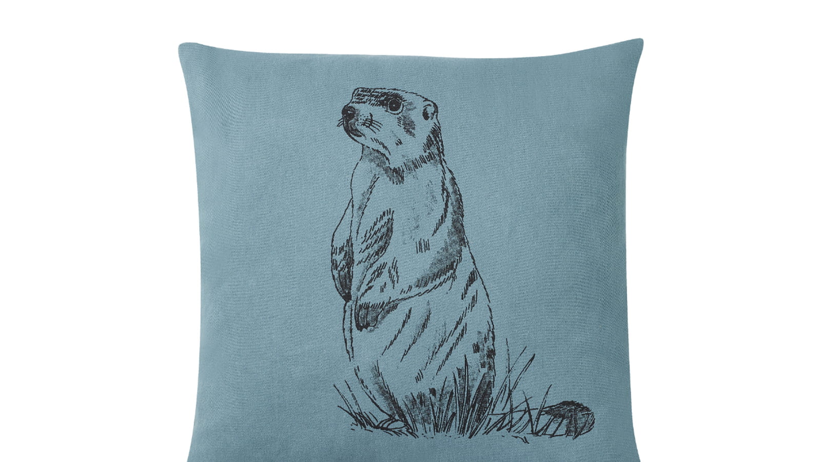 Coussin Marmotte par Monoprix