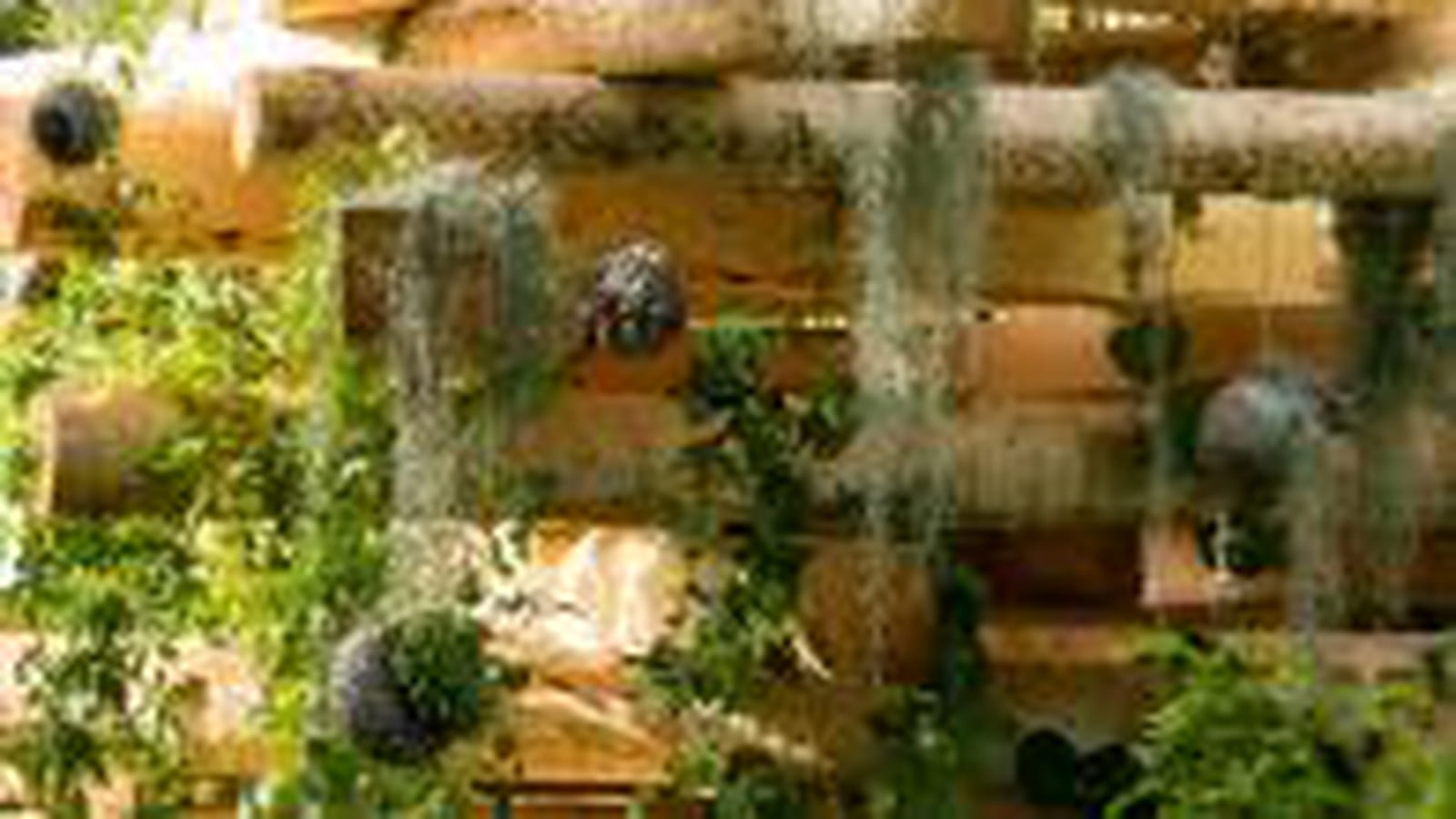 Jardin suspendu