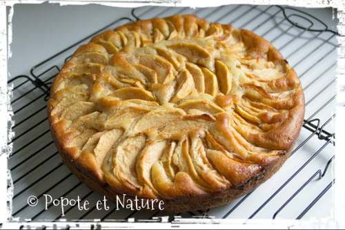 Tarte aux pommes flamande : la recette facile