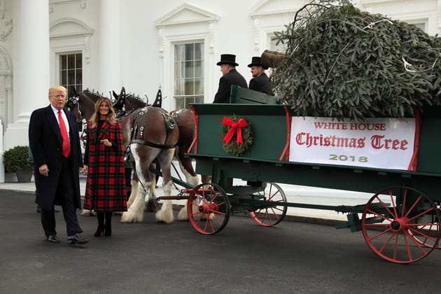 Le sapin de No&euml;l est arriv&eacute; chez les Trump&nbsp;!