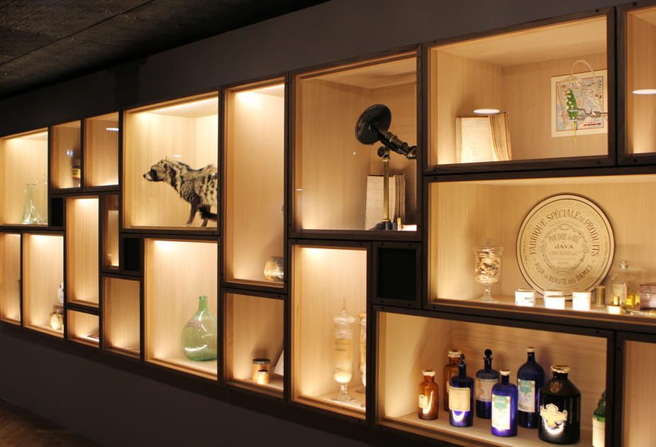 Cabinet de curiosit&eacute;