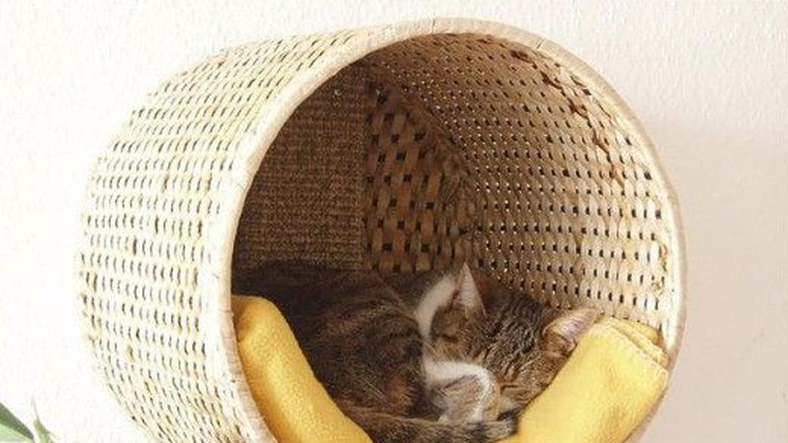 Corbeille panier à chat 