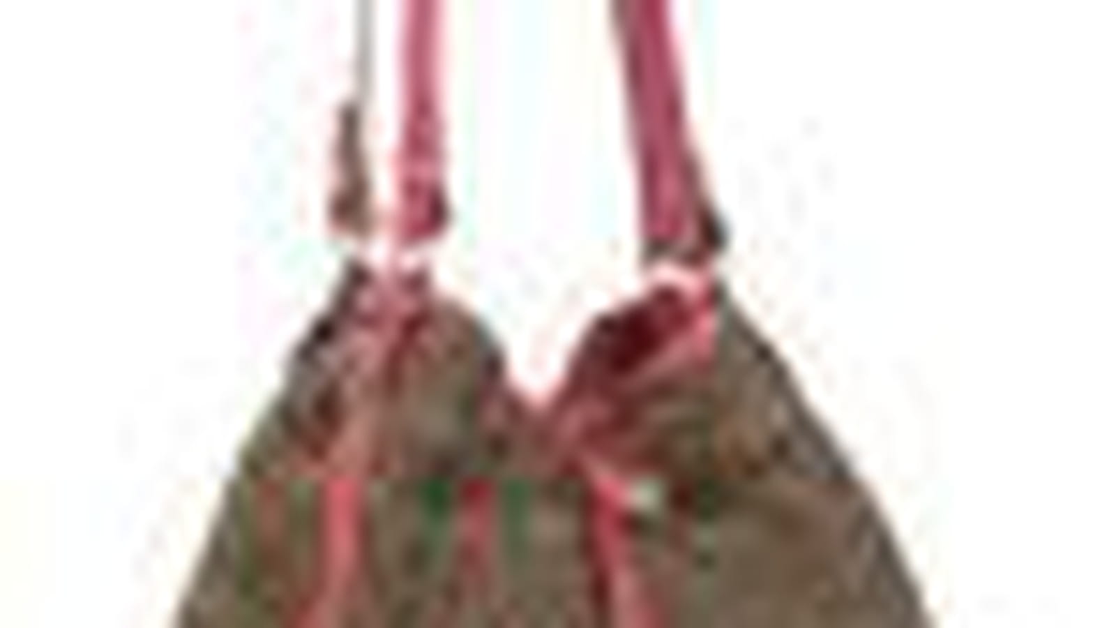 Le sac de Lancel