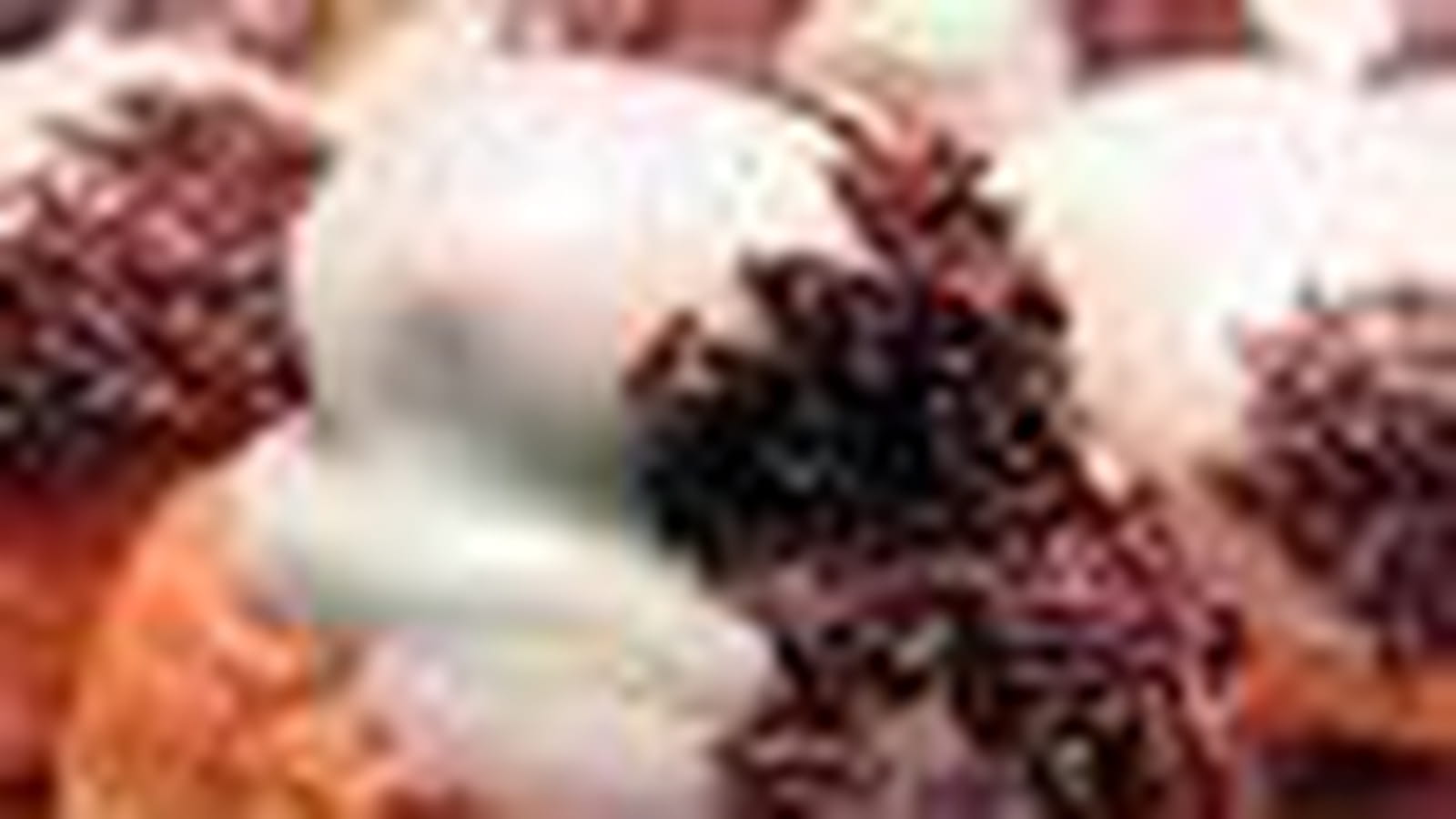 Glands