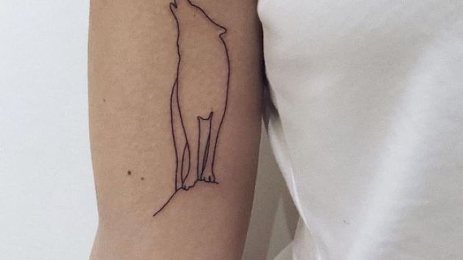 Loup minimaliste sur le bras