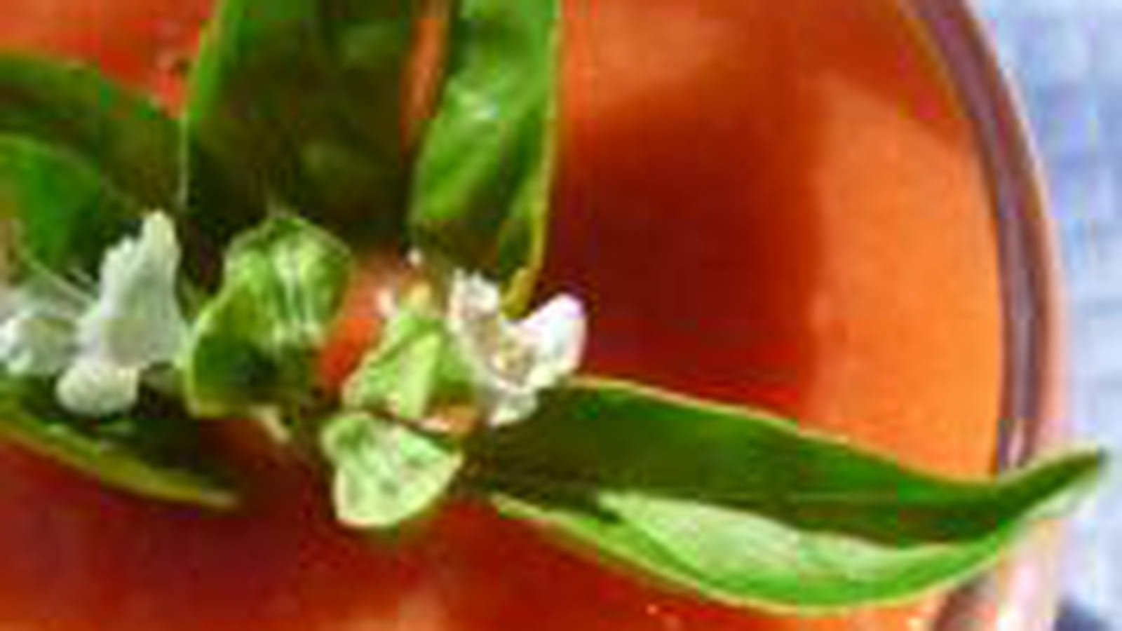 Gaspacho