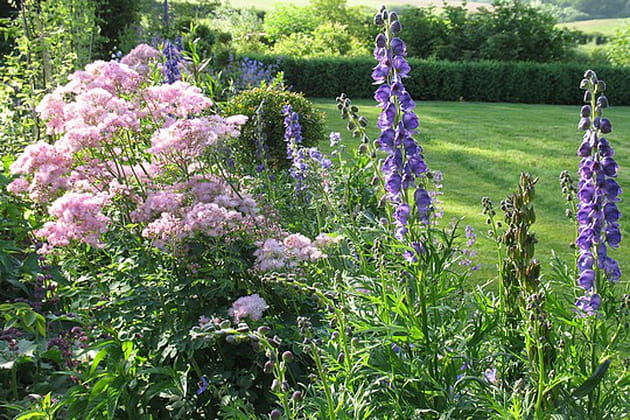 Des bulbes à foison
