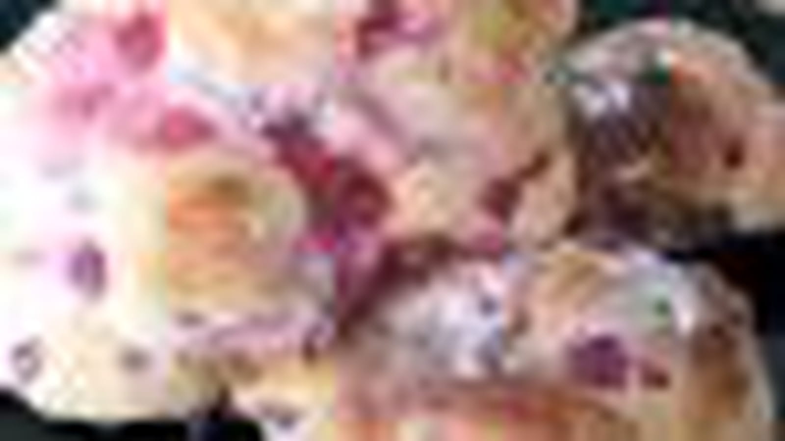 Groseilles