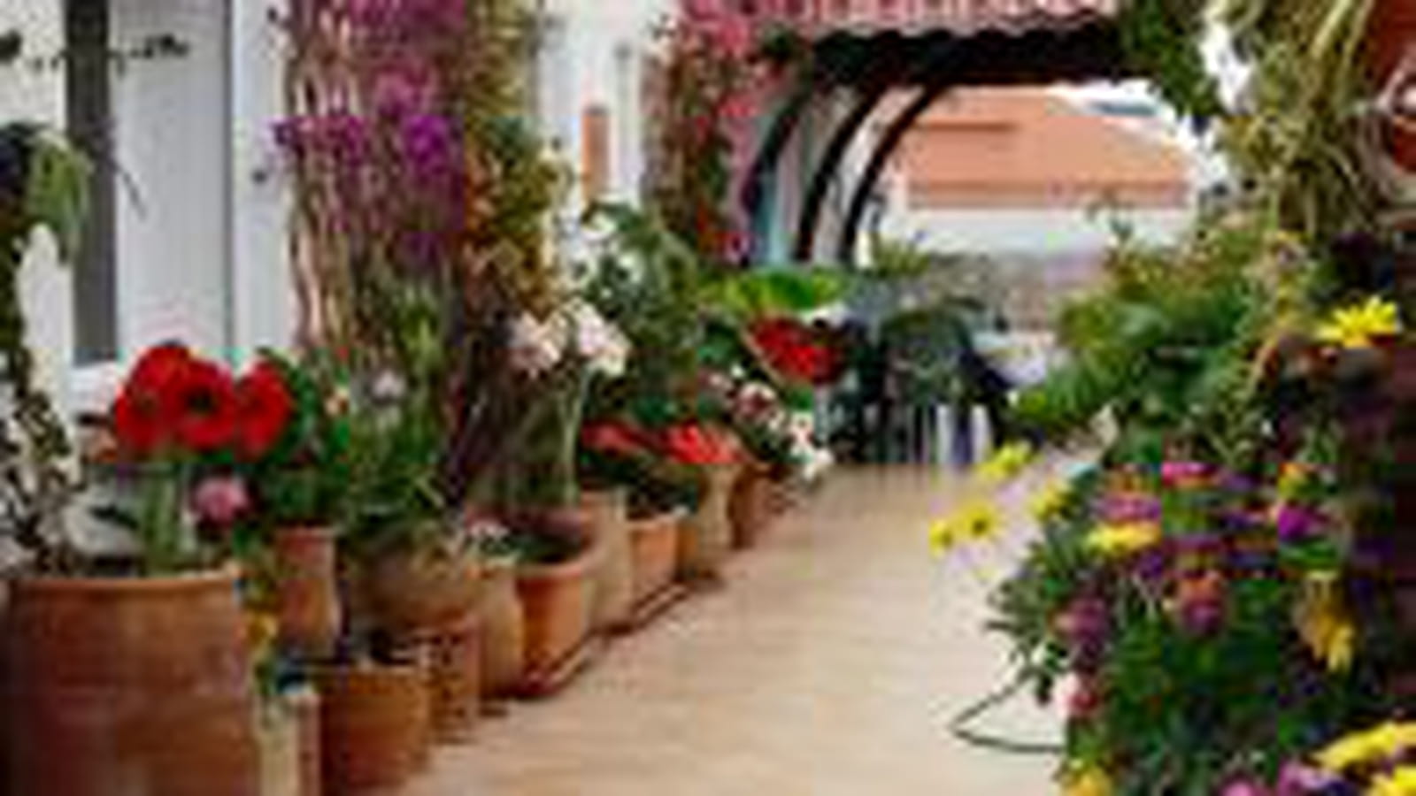 Terrasse fleurie