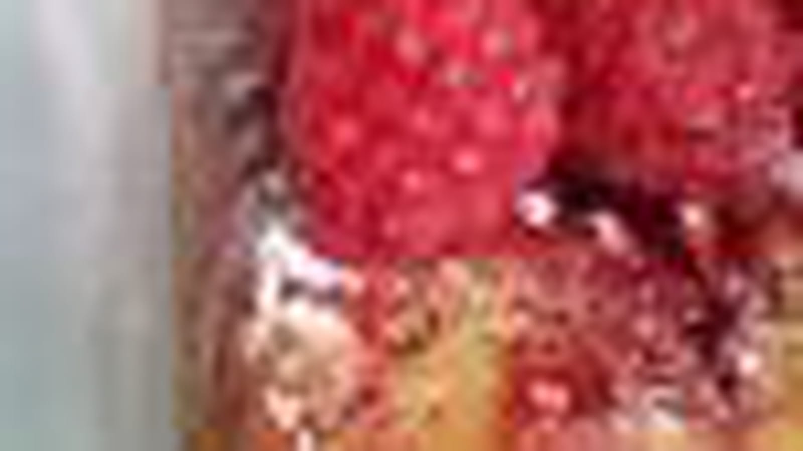 Framboises