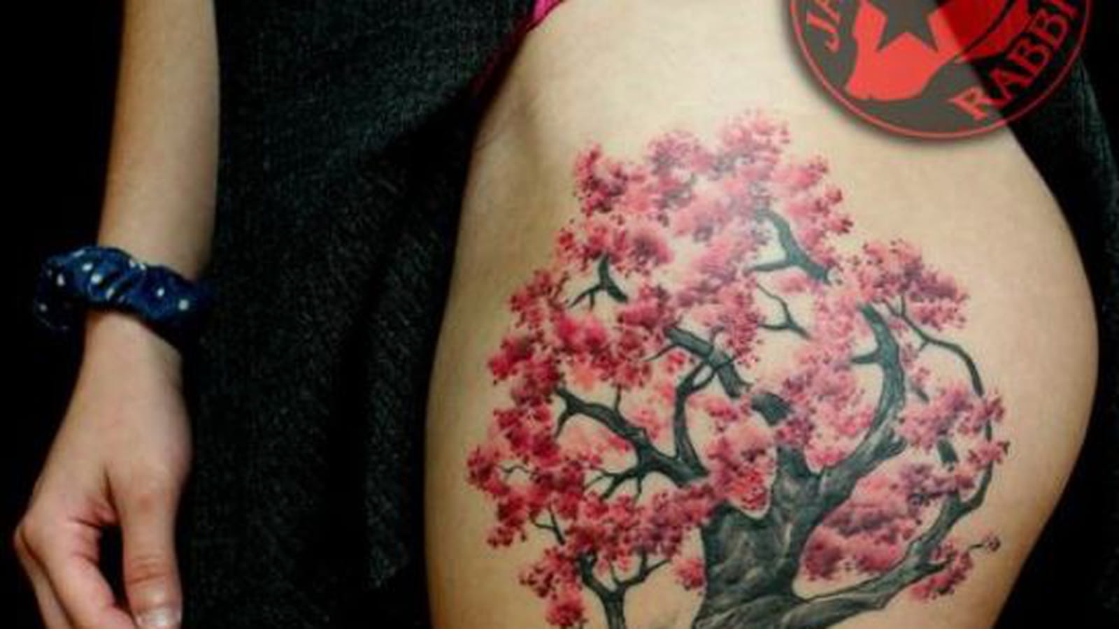 Cerisier à fleurs sur la cuisse