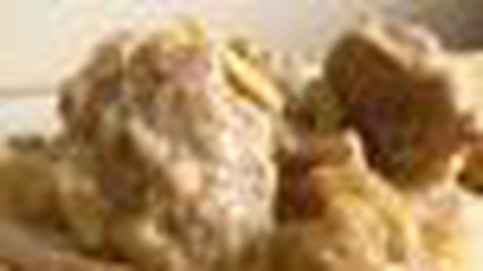 Porc à la crème d'amande, parfumé à la cannelle