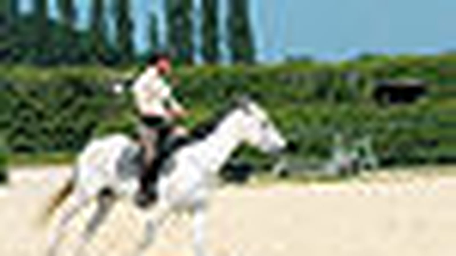 Exercice