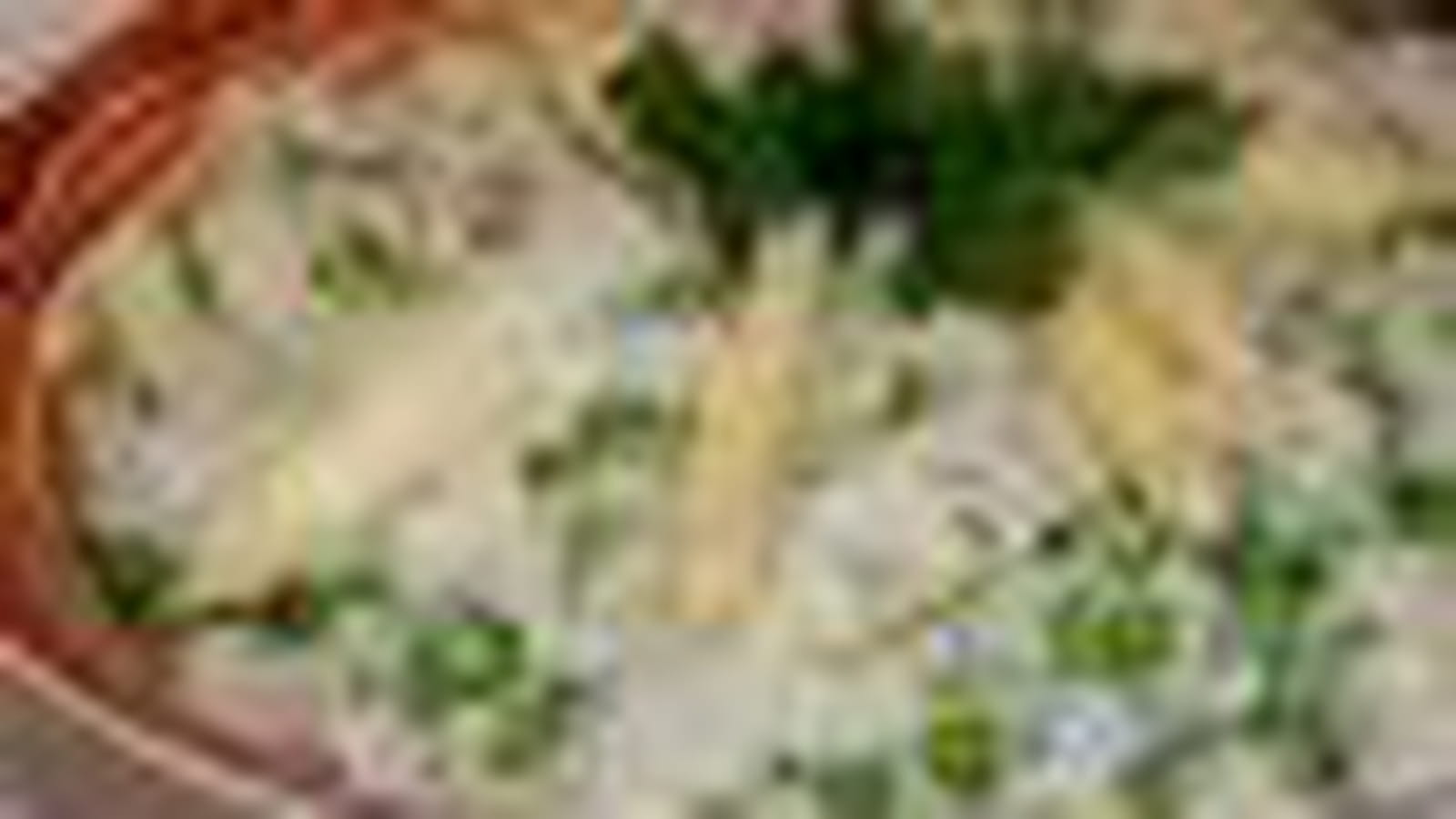 Risotto