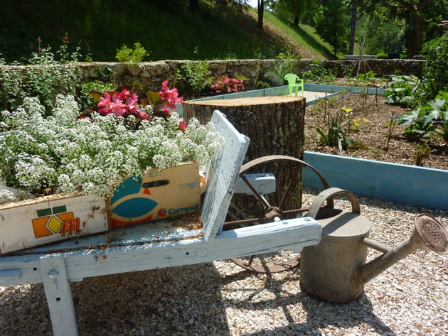 Des scénographies fleuries