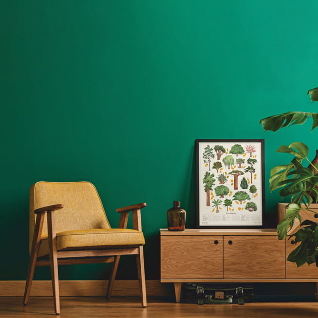 Un poster "Arbres" &agrave; gratter Nature & D&eacute;couvertes