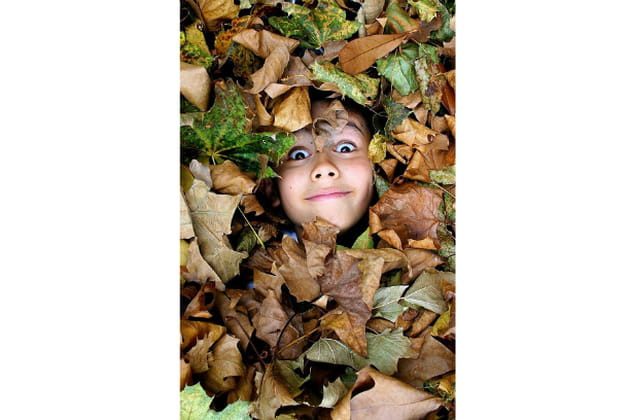 Cache-cache dans le parc