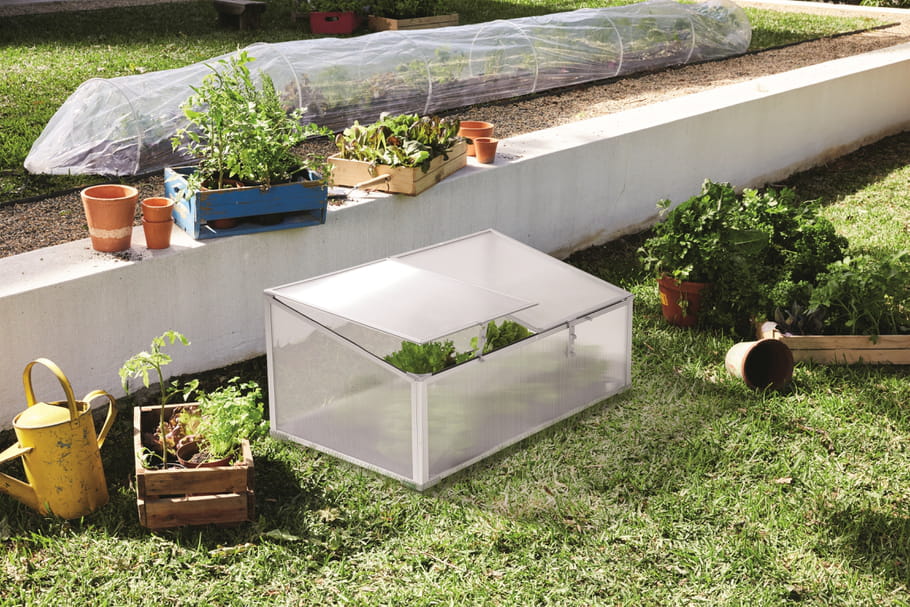 Lidl dévoile les nouveautés de son catalogue jardin