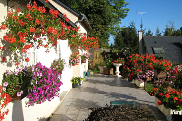 Une maison fleurie en Touraine