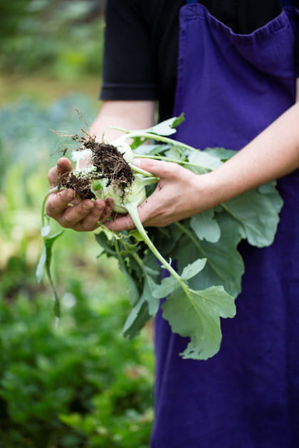 Une récolte quotidienne