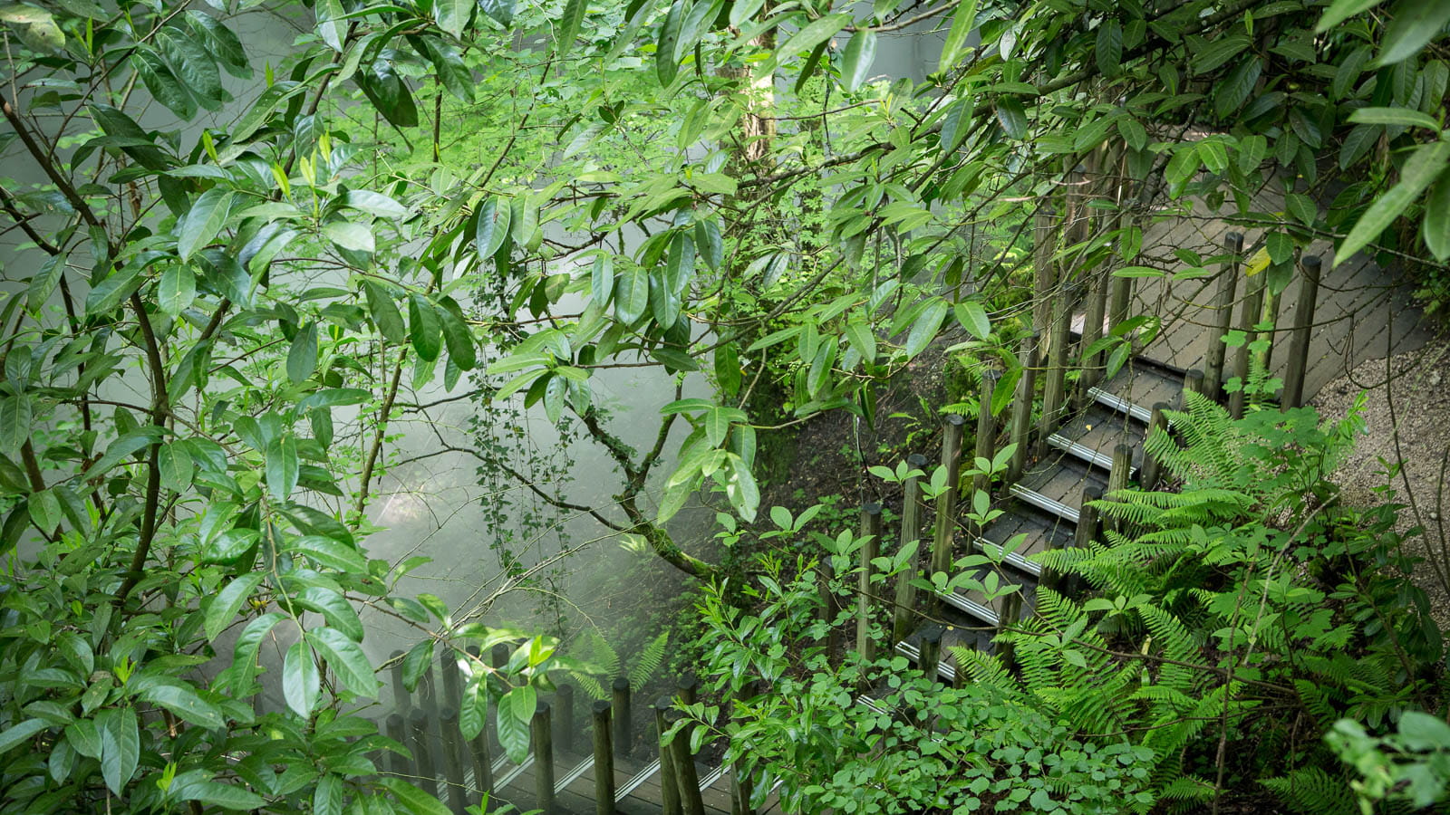 Le vallon des Brumes
