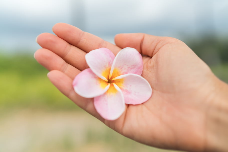 Huile de monoï : ses bienfaits pour les cheveux et le corps