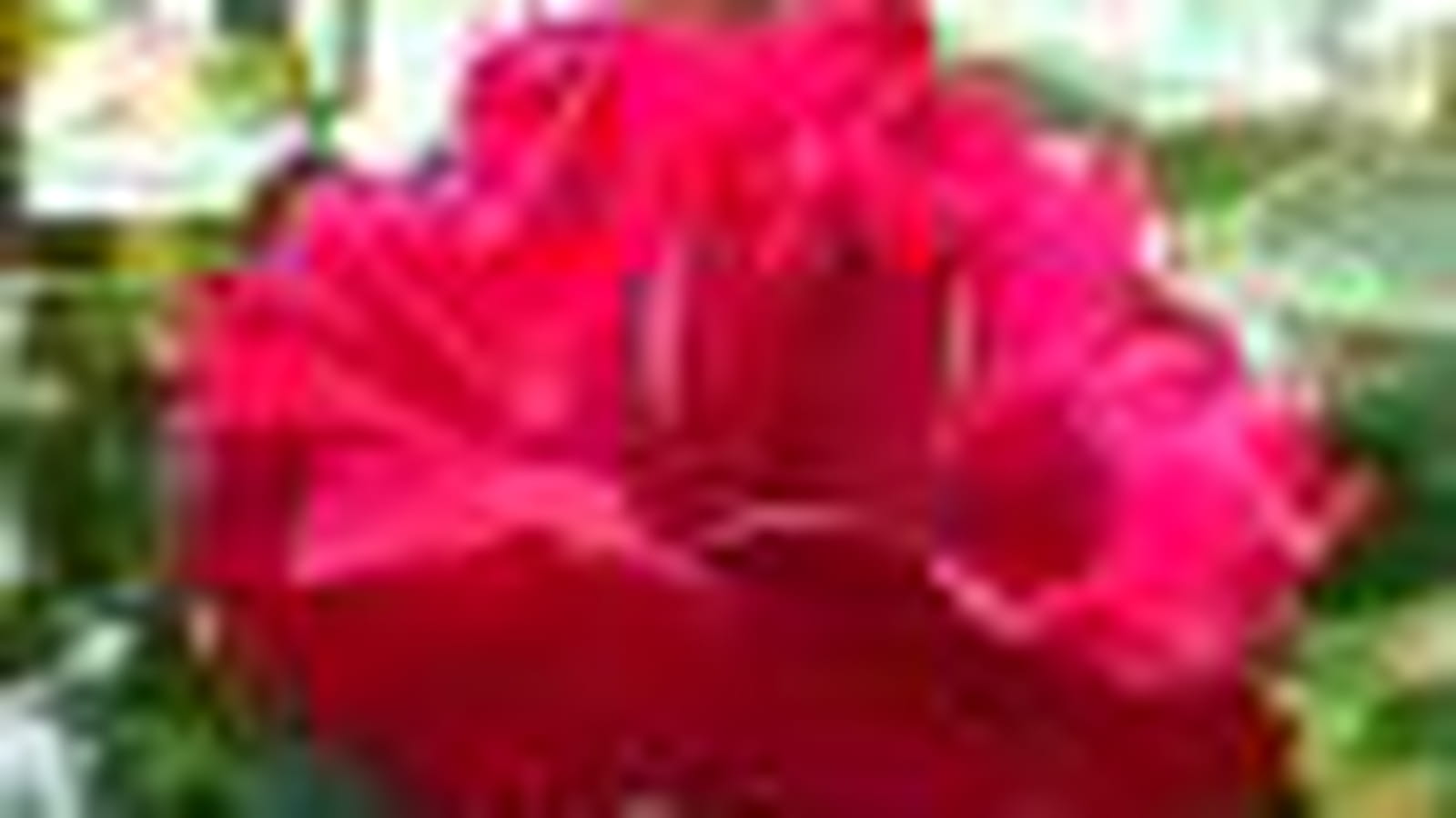 Cassandre ® Var. Meideuji