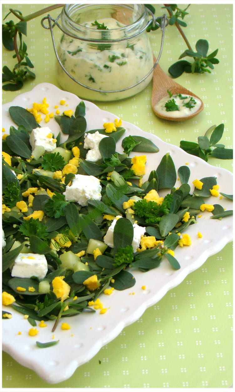 Recette Pourpier : Recette De Salade De Pourpier, Concombre Et Oeuf