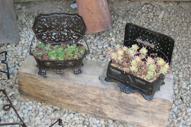 Chaufferettes pour succulentes