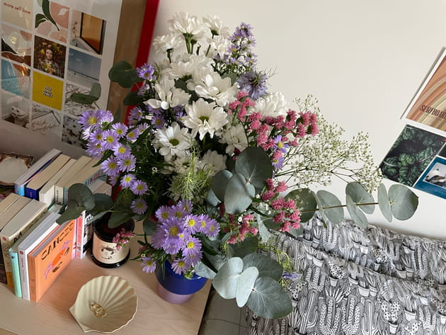 Conseils d'entretien