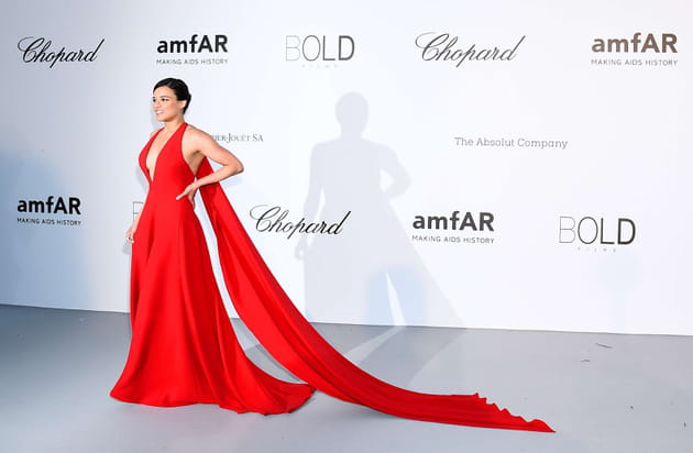 Pourquoi avoir un tapis rouge quand on a la robe de Michelle Rodriguez&nbsp;?