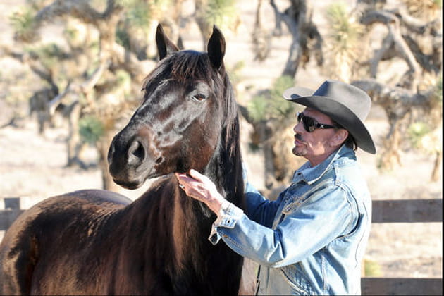 L'homme qui murmurait à l'oreille des chevaux