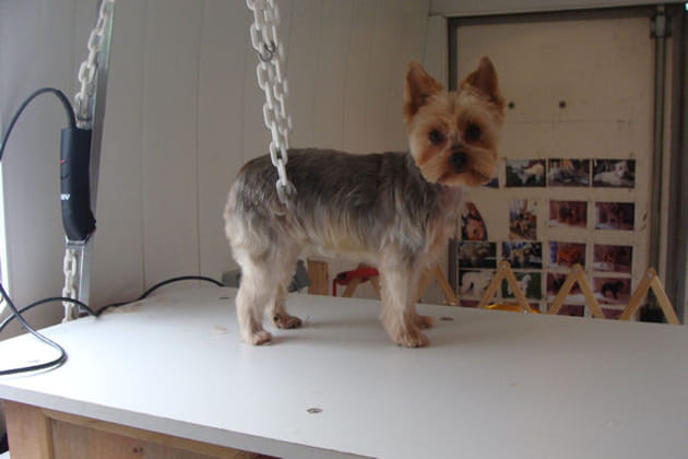 M&ecirc;me pas peur&nbsp;!