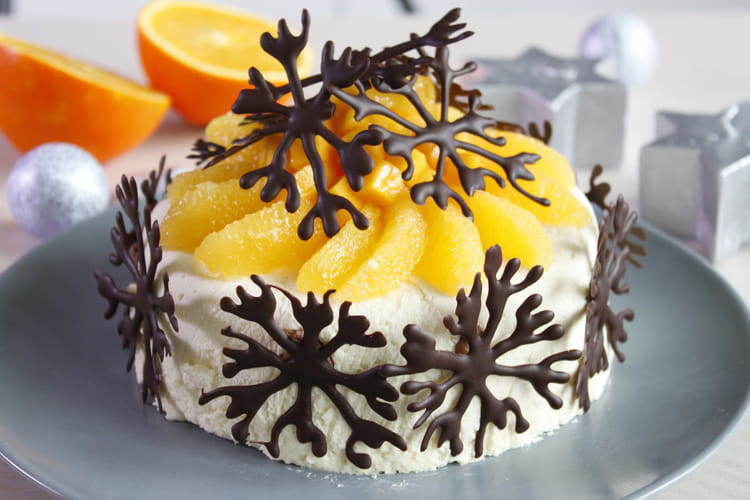 Gateau Glace Chocolat Blanc Noix De Coco Et Chocolat Noir