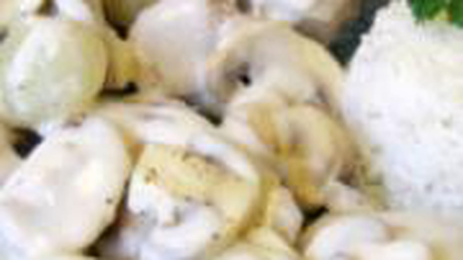Blanquette de veau à l'ancienne