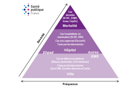 surveillance hospitalisation deces santé publique France