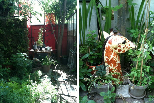 Une jungle de l'imagination