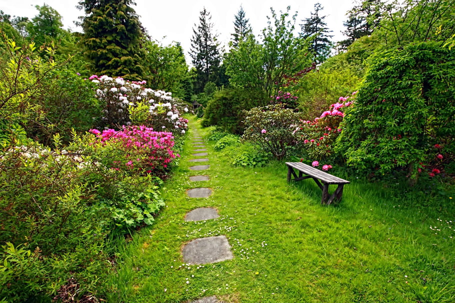 Style de jardin : quel type d'aménagement de jardin choisir ?