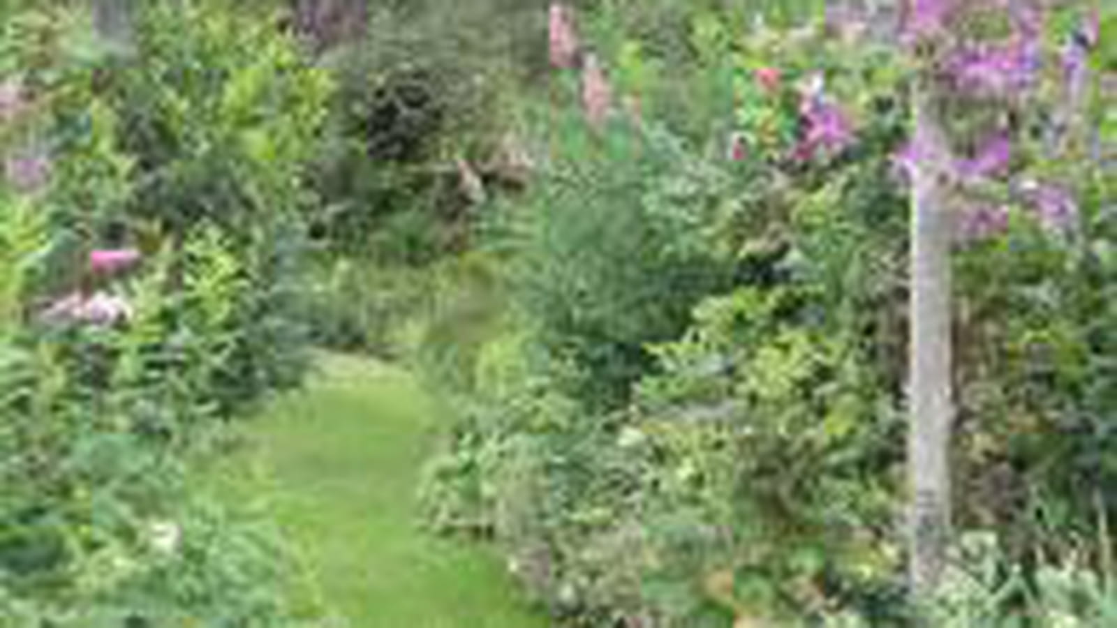 Arche fleurie