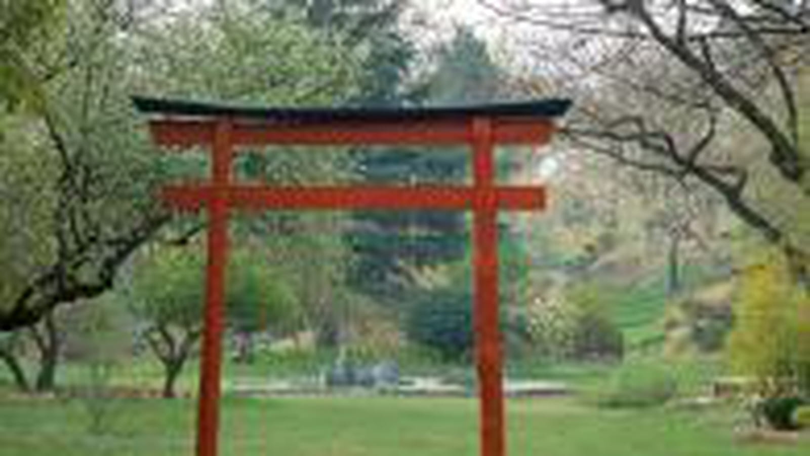 Jardin du dragon