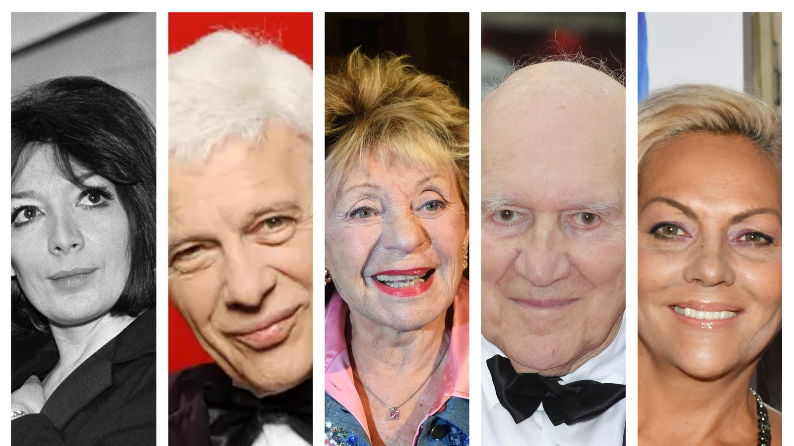 Juliette Gréco, Guy Bedos, Annie Cordy, Michel Piccoli et Hermine de Clermont-Tonnerre