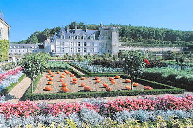 Les couleurs du potager