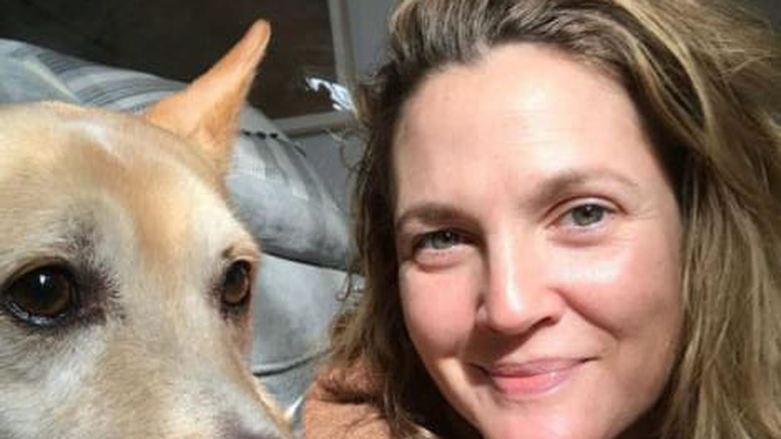 Drew Barrymore sans artifices 
