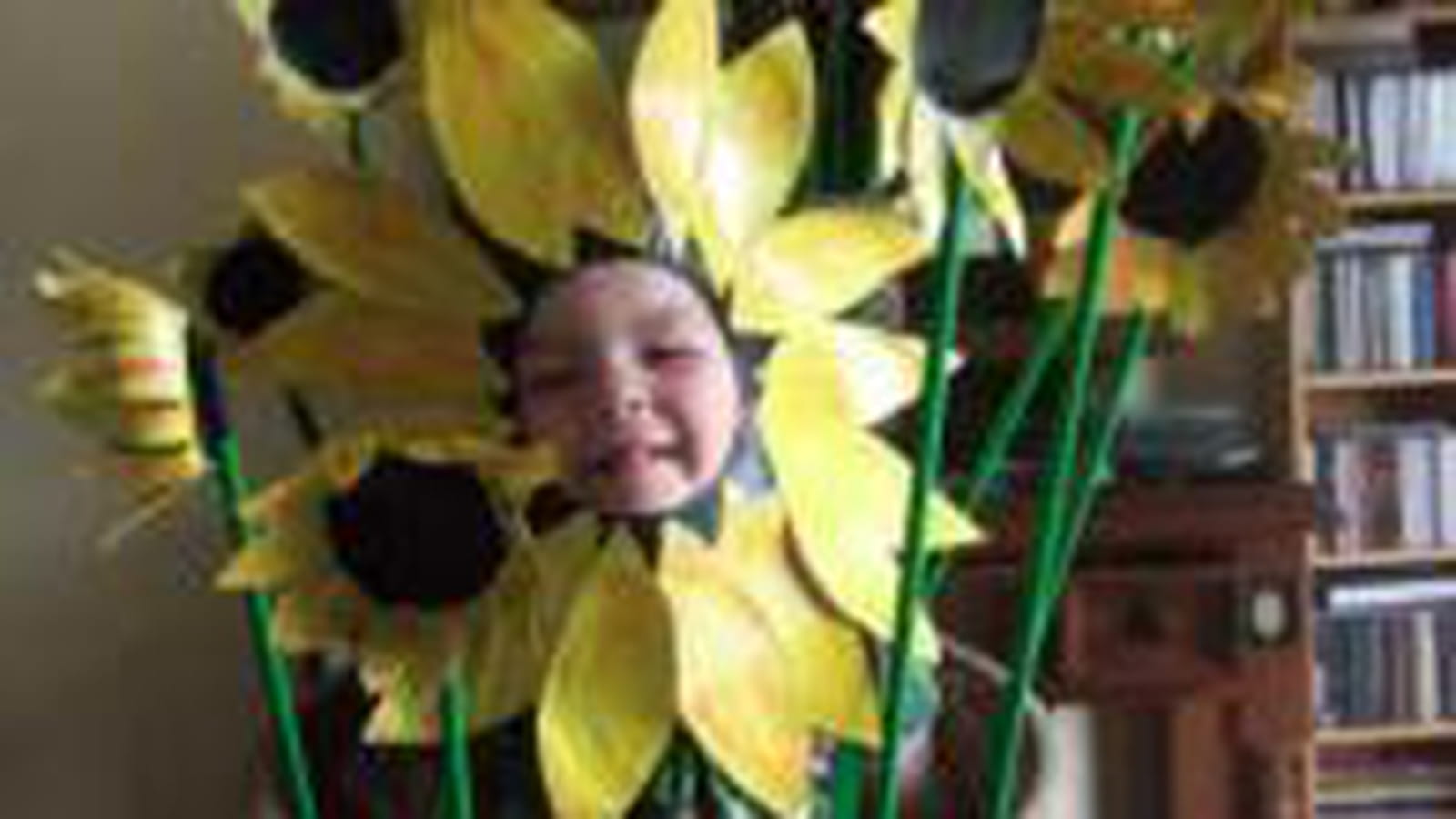 Une fleur parmi les fleurs
